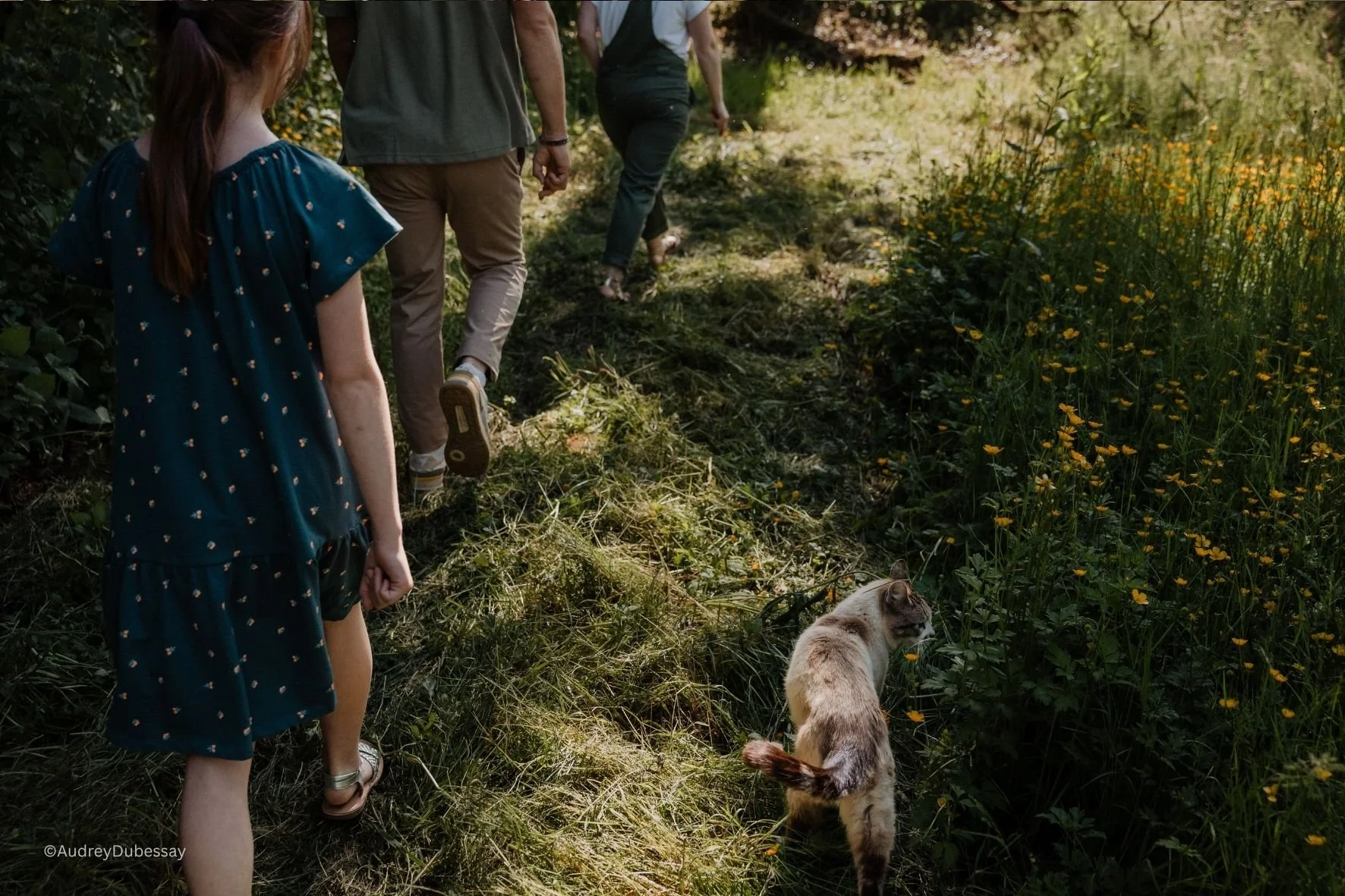 Un groupe de personnes, dont une jeune fille, marchent sur un sentier naturel dans la forêt. Une chatte marche également à côté d'eux, près de la végétation dense et des fleurs jaunes