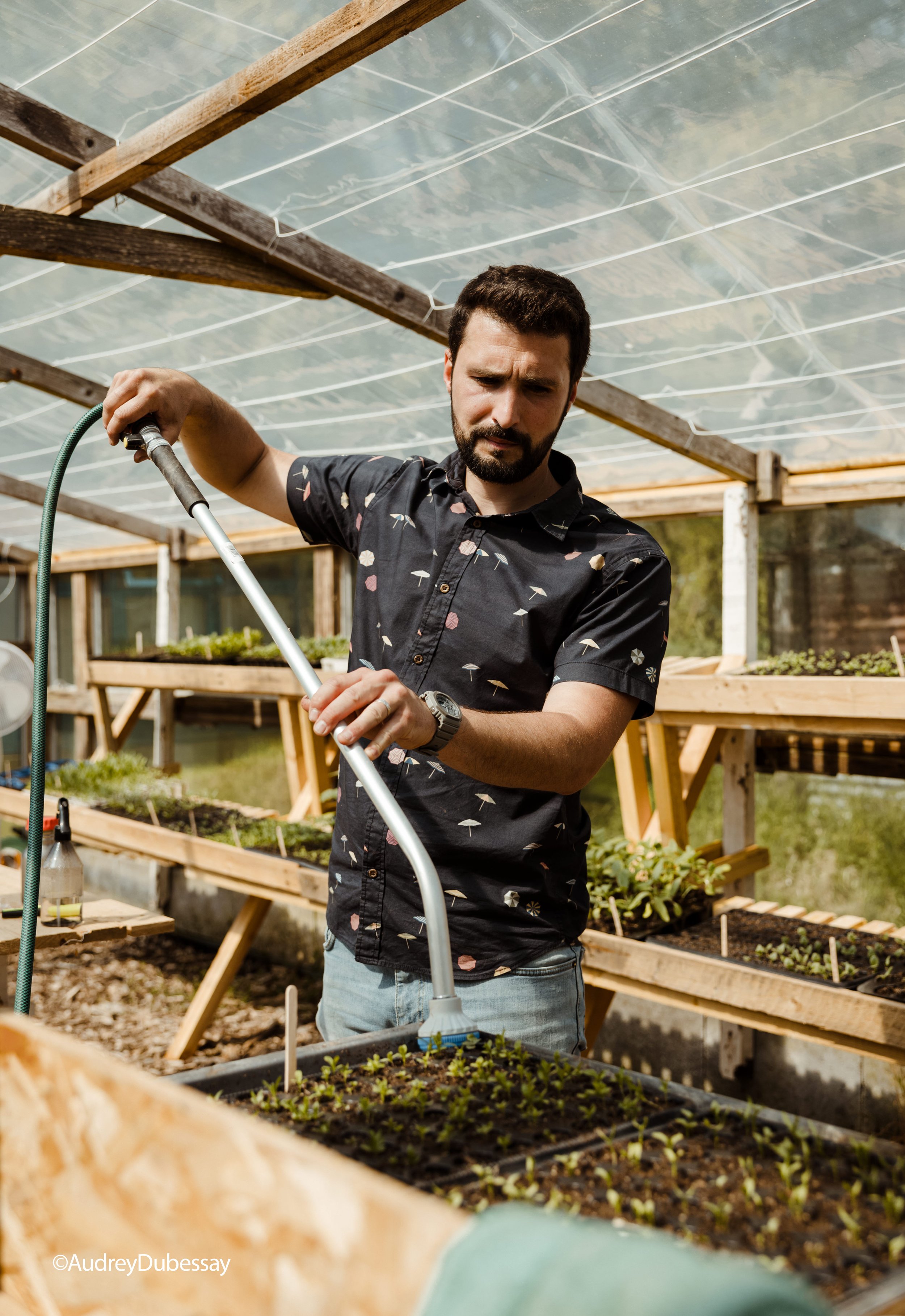 Nous cultivons des plantes aromatiques, fleurs comestibles et à couper, fruits et légumes de saison dans notre jardin pour la composition du menu de votre grand jour.