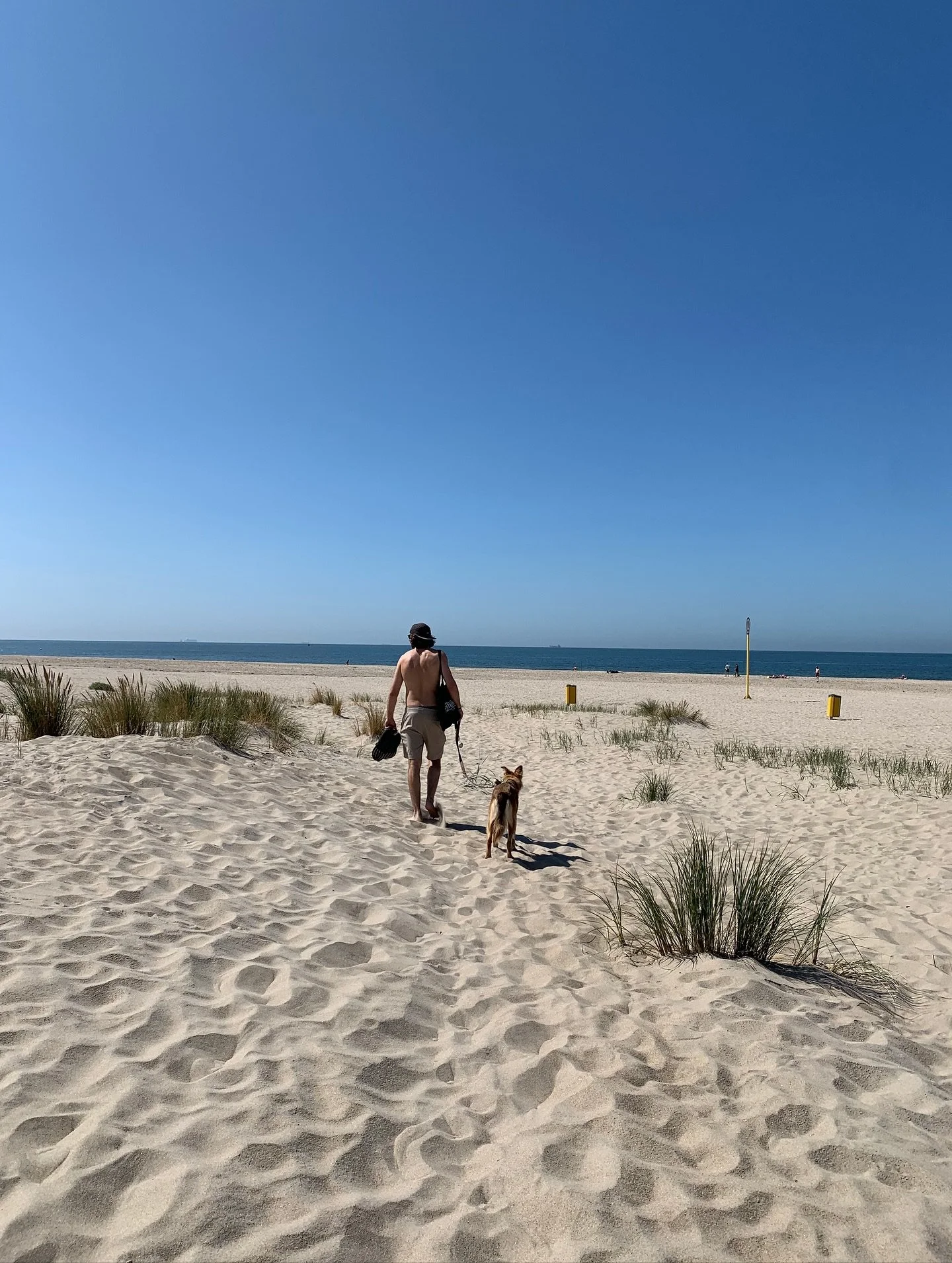 Summer breeze 🌸 July, 2025 | The Hague, Ulm, Vezenobres