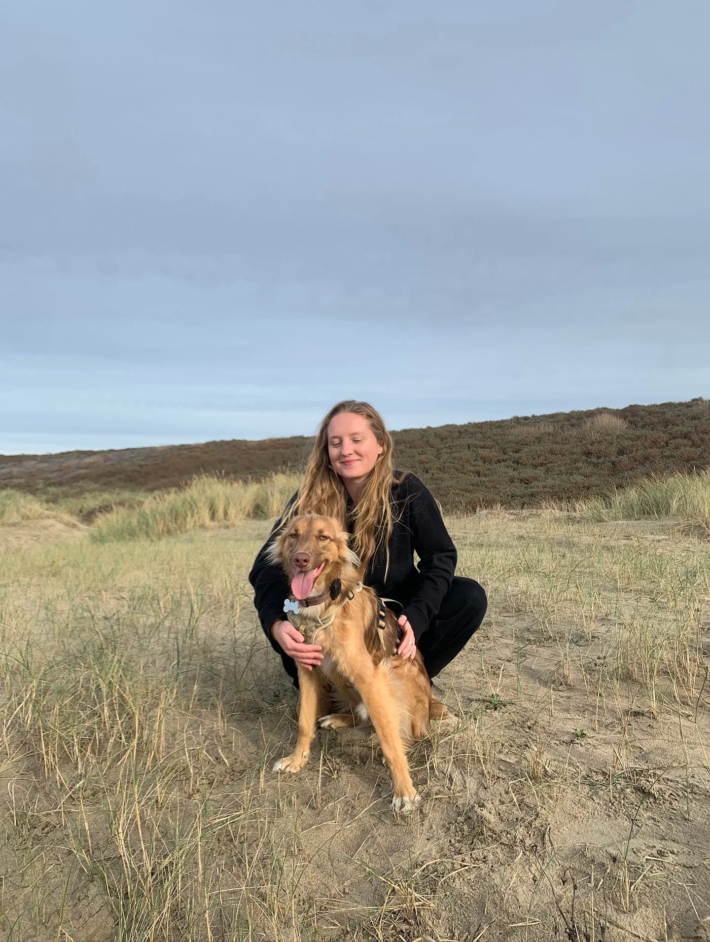 September / October in The Hague &amp; Switzerland 🐶🍂