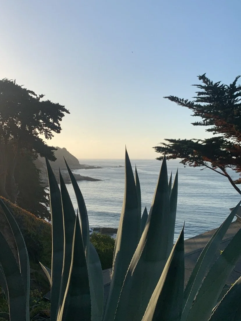 Slow, soft moments from Chile this past December and January 🇨🇱

Expansive mountains, fresh ocean air, pristine rivers, playful laughter, heartfelt conversations, and stretches of time that felt slower and more mindful than usual.

I took some time