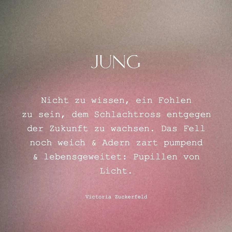 Jung ❦