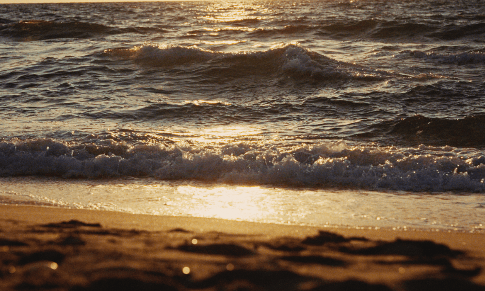 Rendered in Light  - sea.png