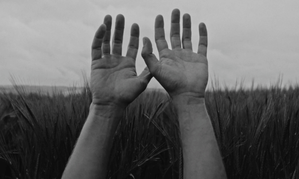 FILM PREMIERE: ‘The Calluses’, a new film by Freddie Pearson and Tyler Palmer
