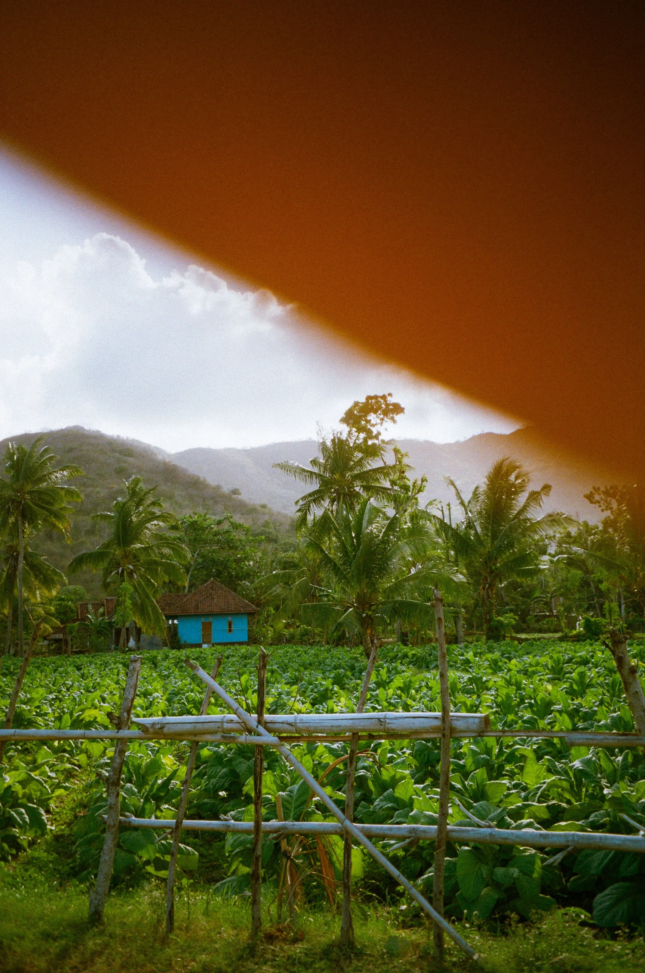 Indo bewerkt pointshoot-47.jpg