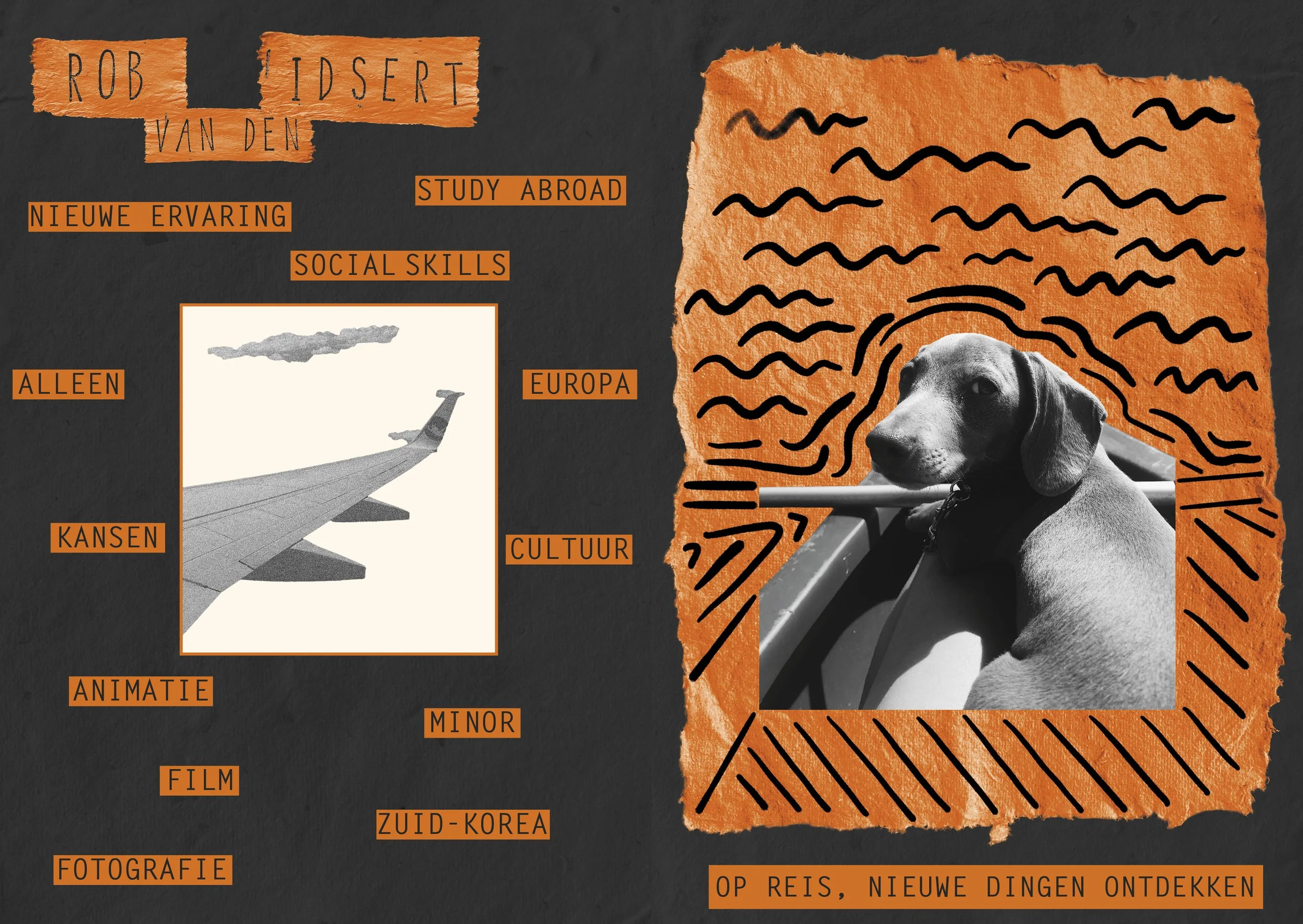 zine safari 12-13 copy.jpg