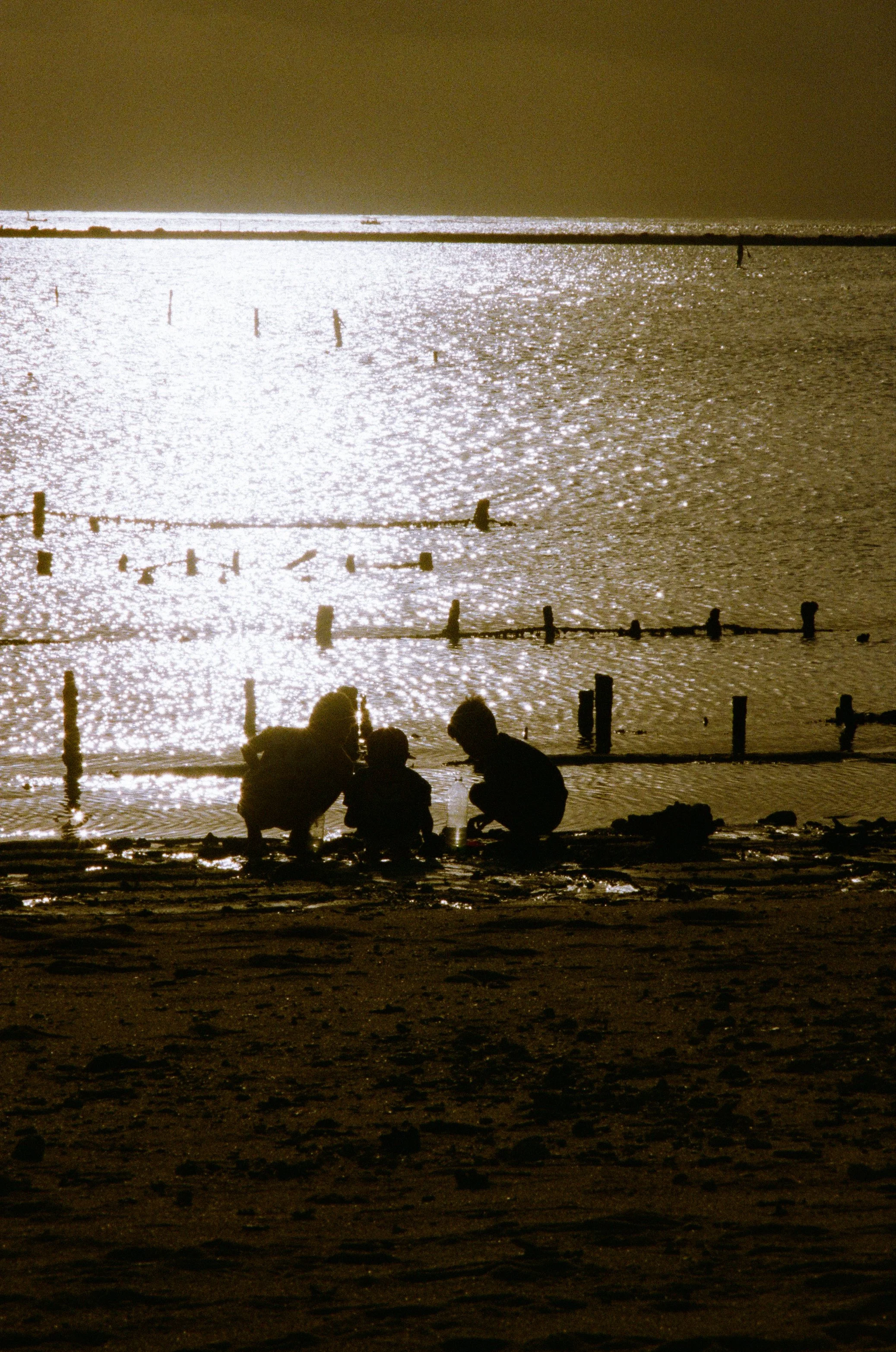 Indo bewerkt pointshoot-43.jpg