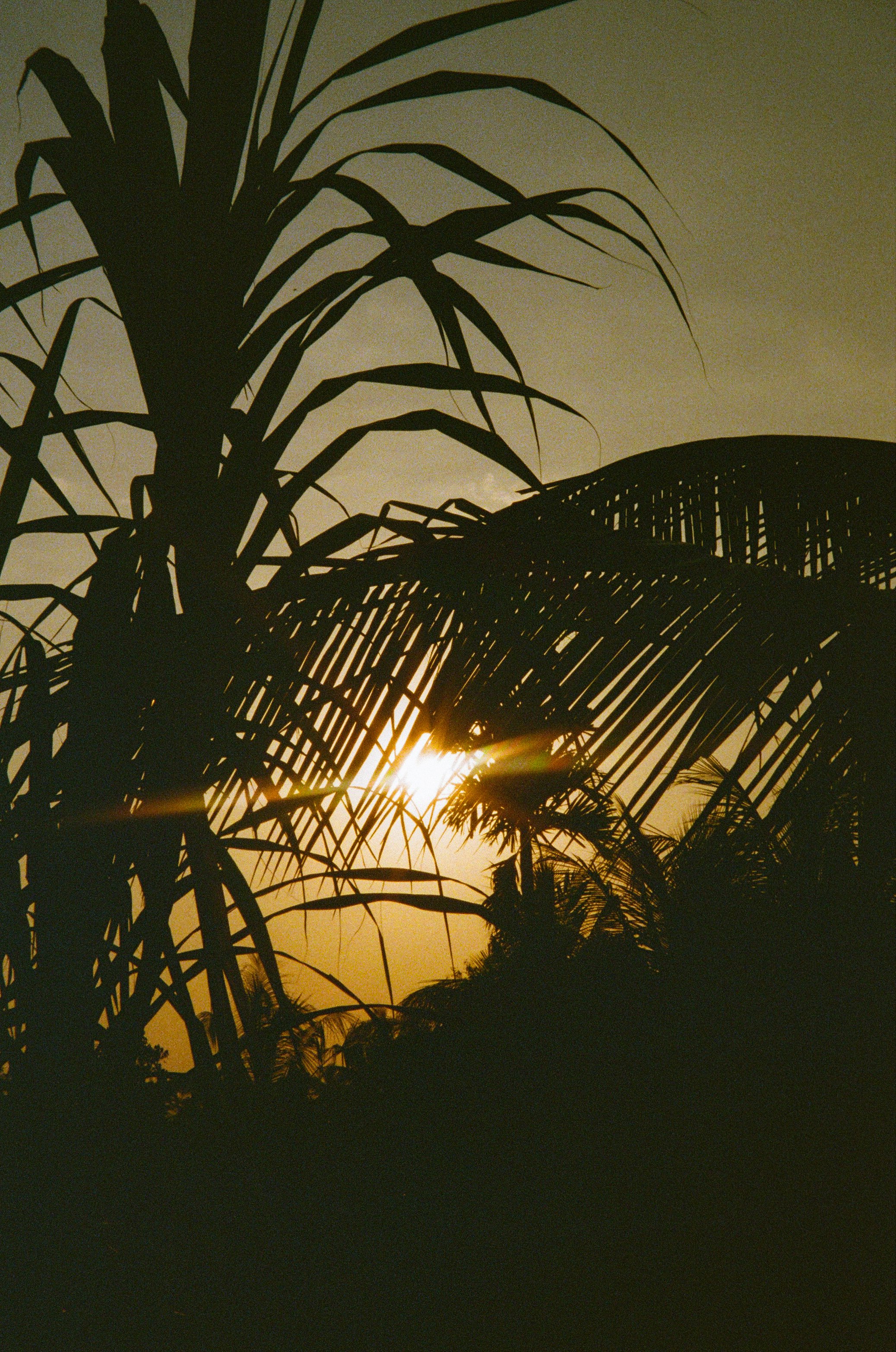 Indo bewerkt pointshoot-24.jpg