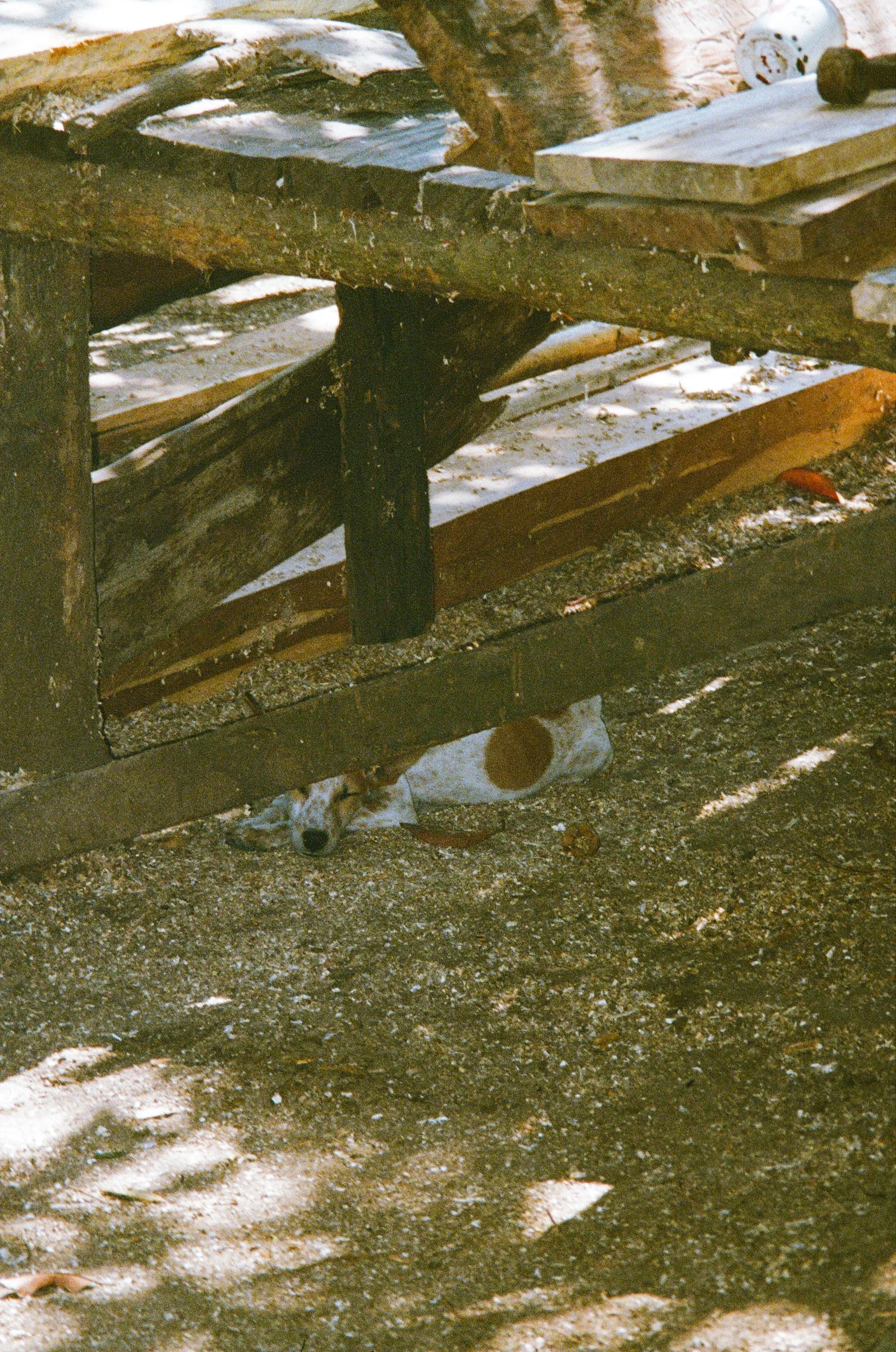 Indo bewerkt pointshoot-23.jpg