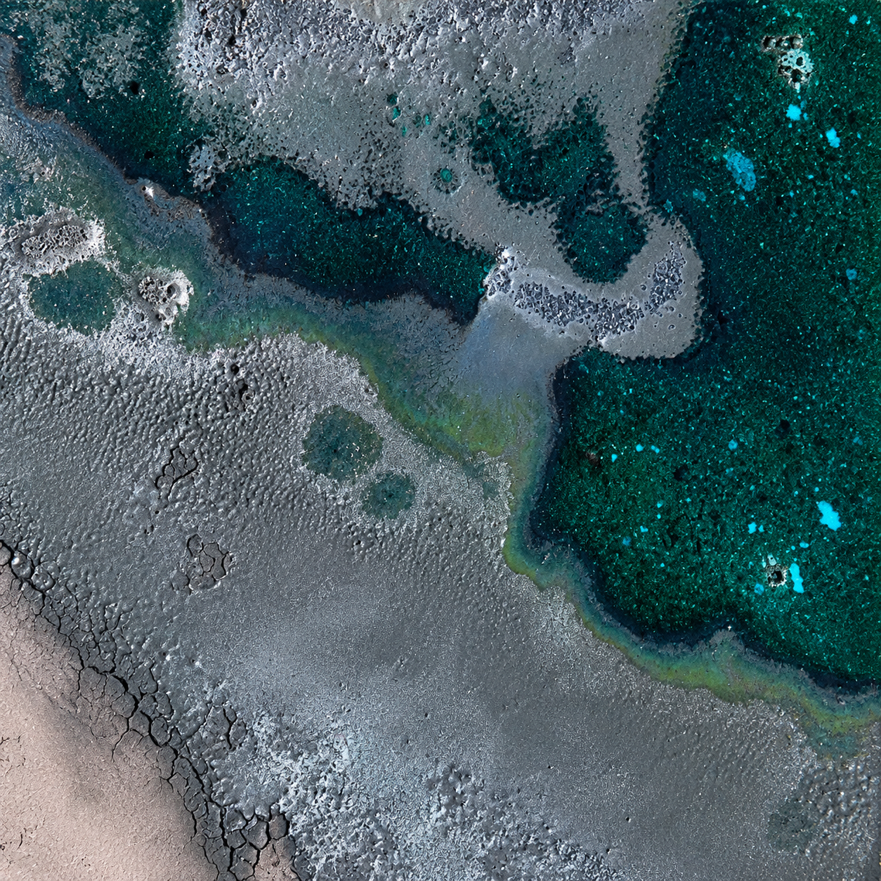 ChatGPT Image 15 sept. 2026, 13_07_05.png