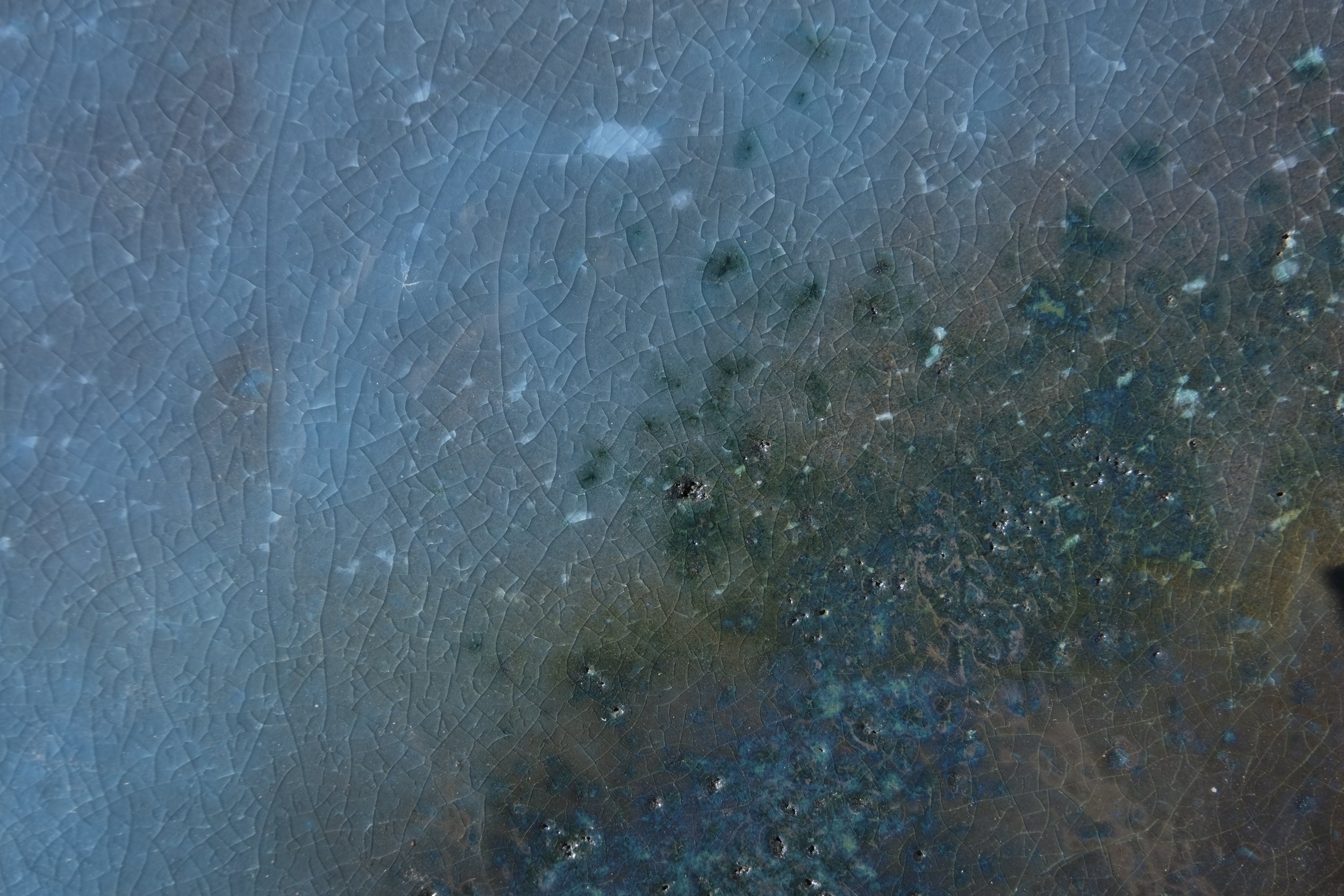 _DSF8813.JPG