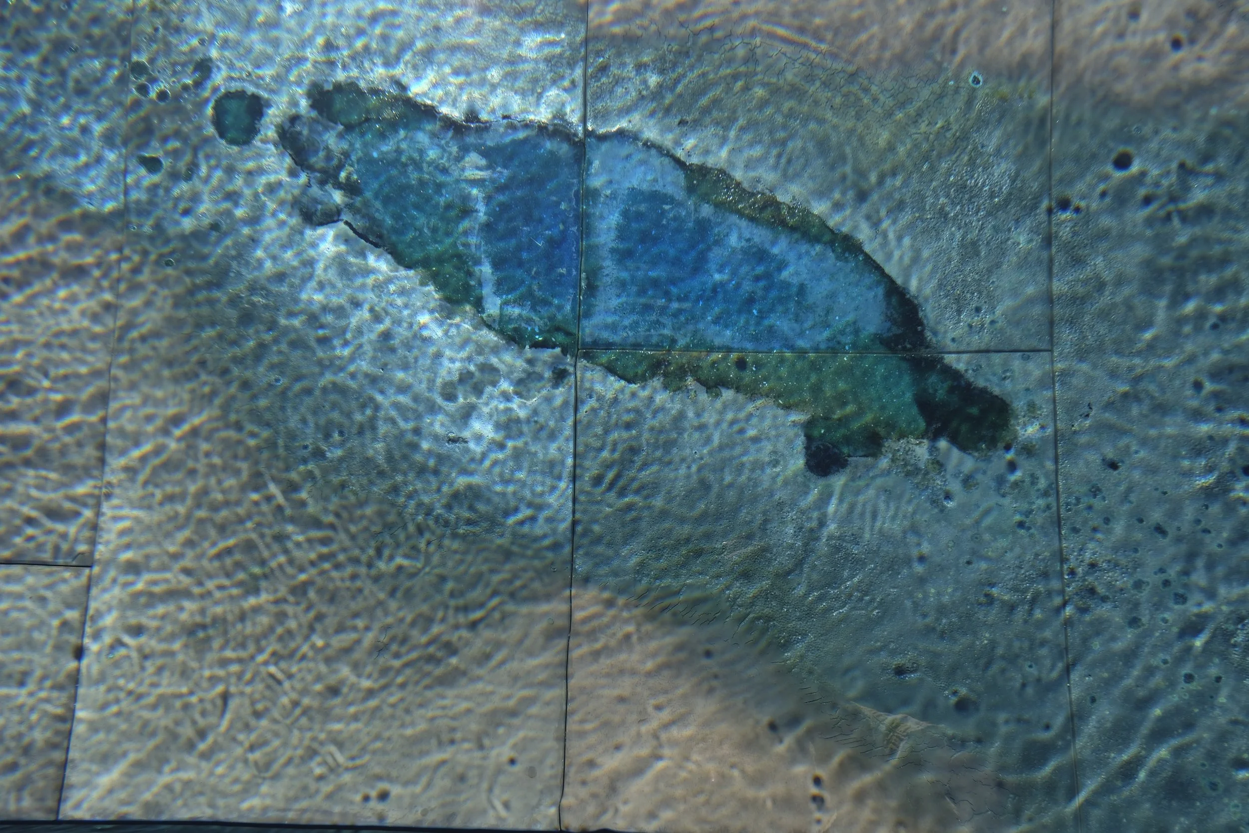 _DSF7874.JPG