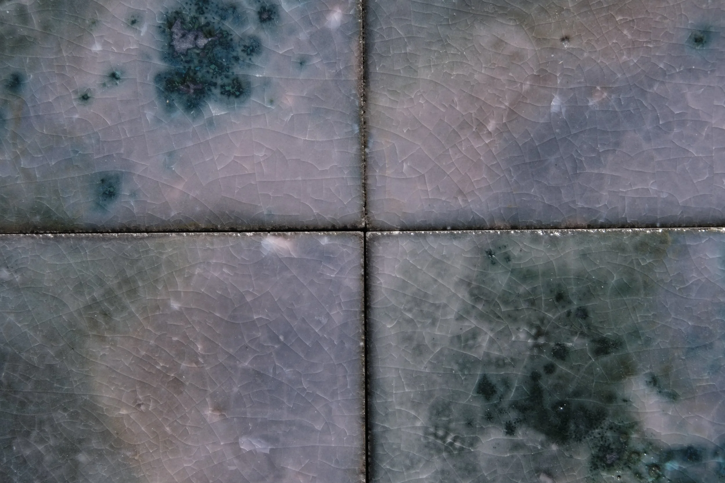 _DSF8824.JPG