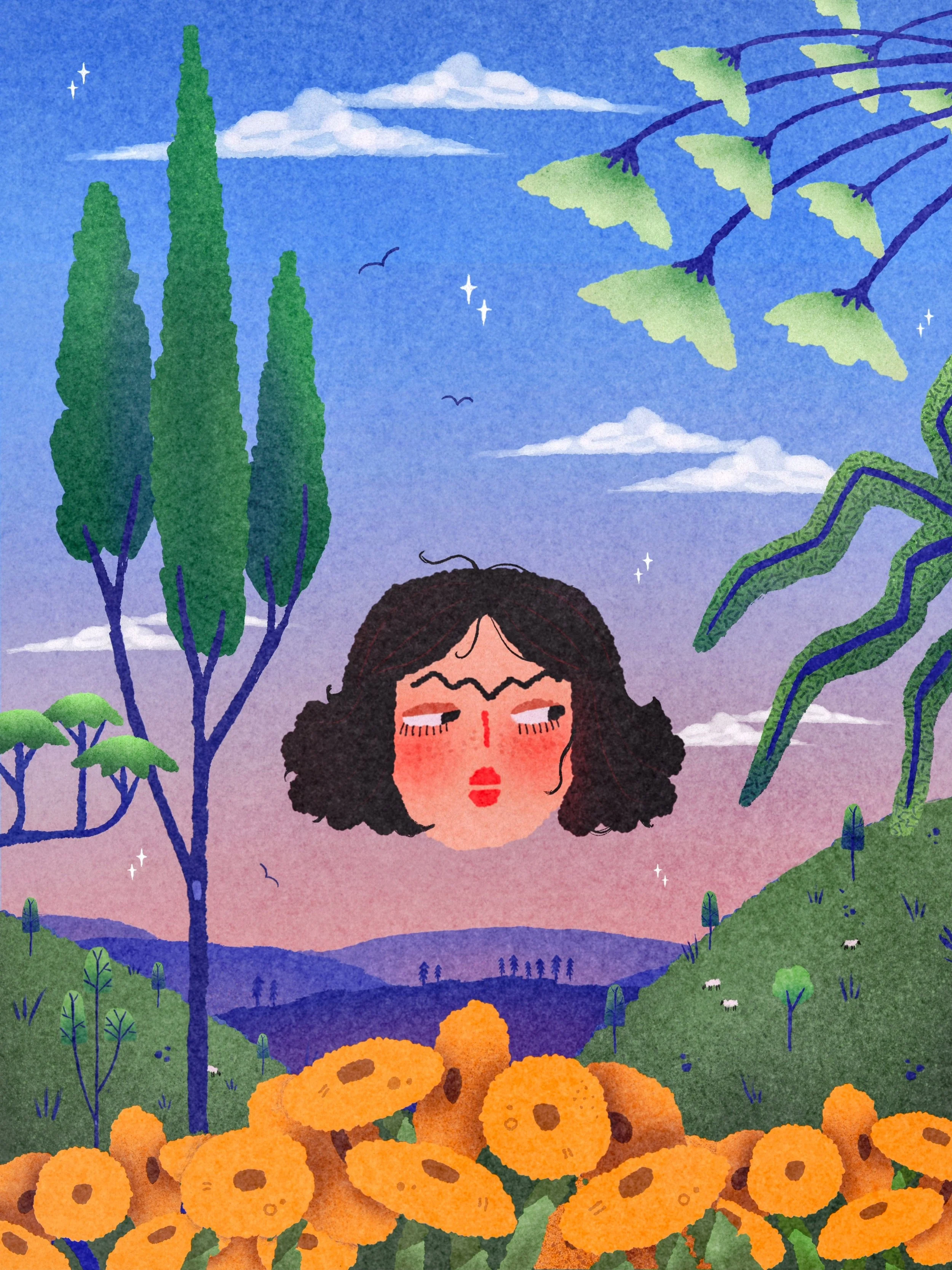 illustration-shire.JPG