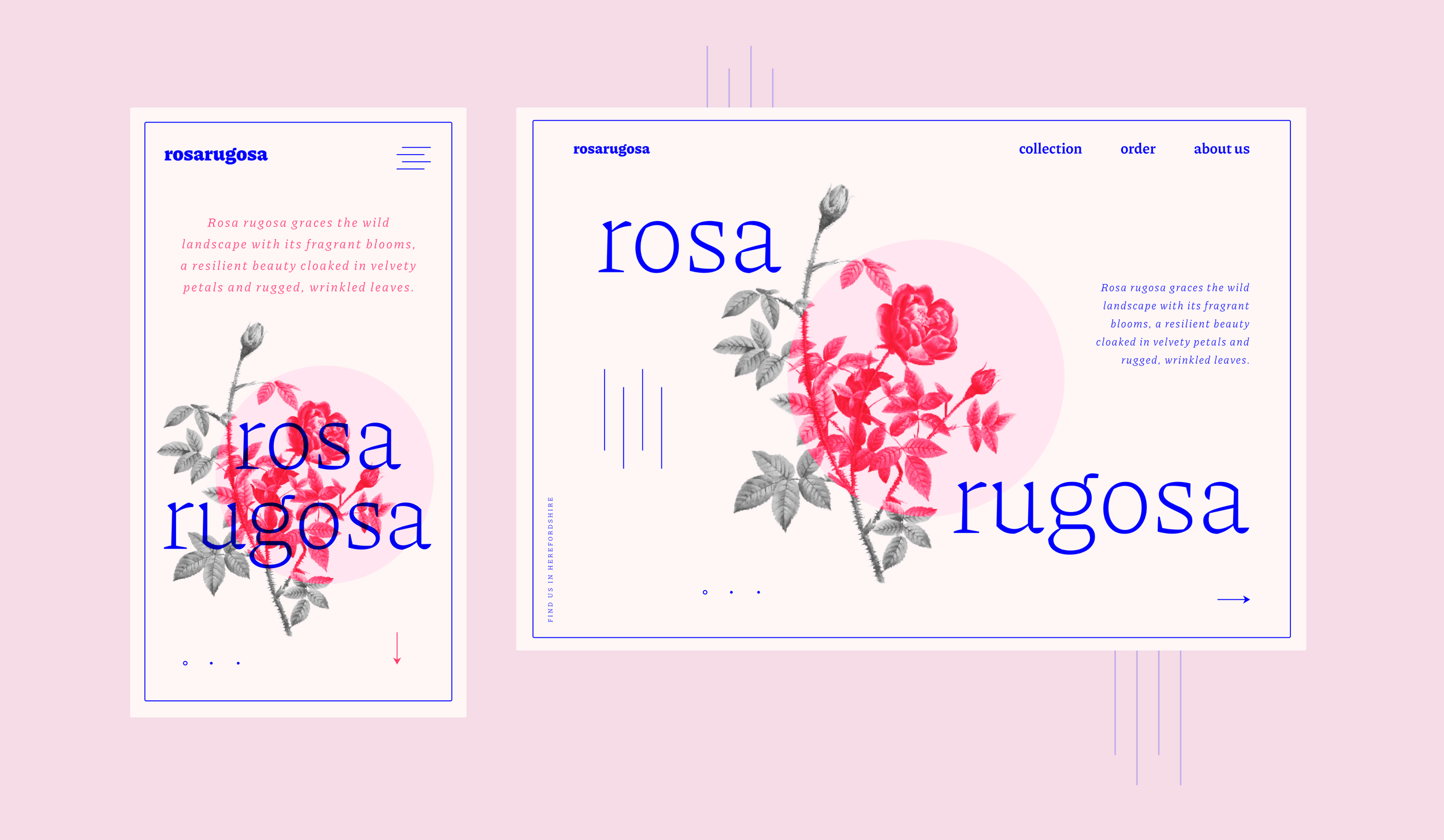 BRAND | UI DESIGN | VISUAL DESIGN | LANDING PAGE 