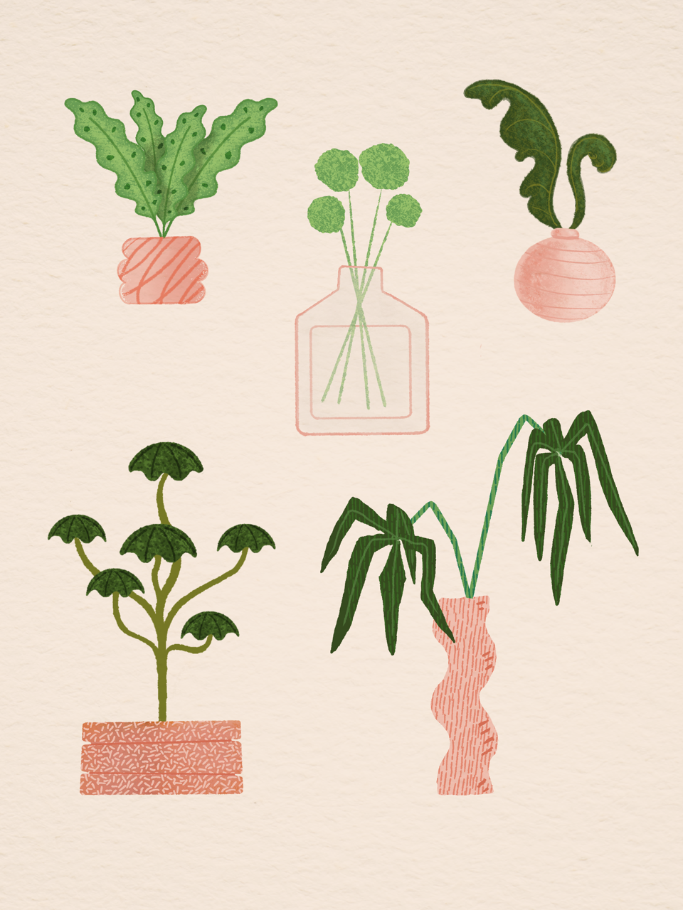 houseplants1 Large.png