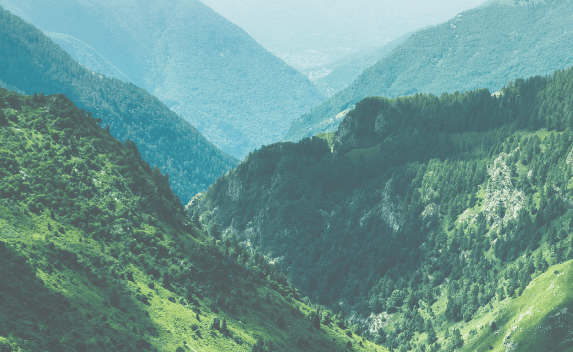 E-COMMERCE MOBILE APP DESIGN