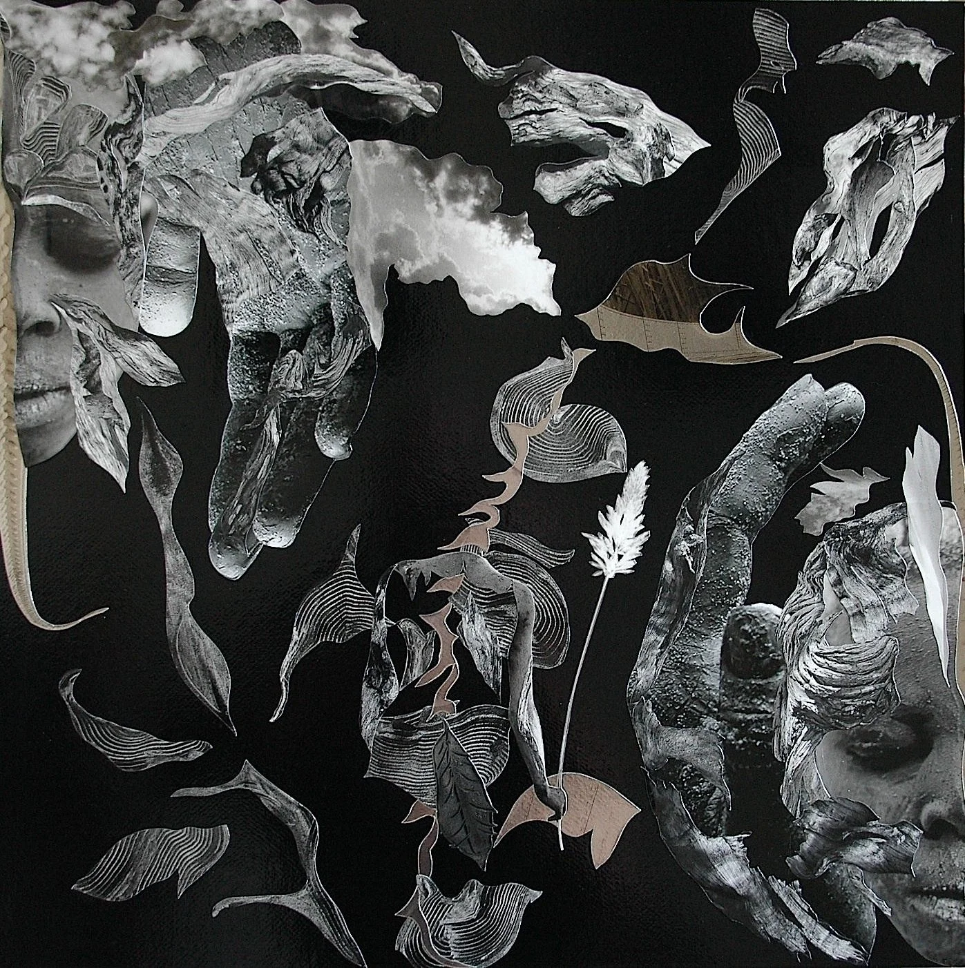 Collages
