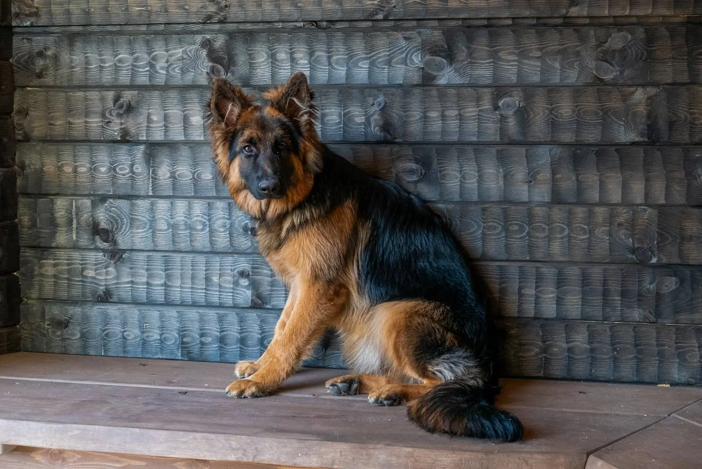 Korian Hirren kotalaavut ovat l&ouml;yt&auml;neet paikkansa koirametsien ajattomina taukopaikkoina. Maittava ev&auml;stauko turkkia kuivatellen kelpaa niin koirille, kuin omistajillekin! 🐶

T&auml;ss&auml; mm. muutama kohde, joissa p&auml;&auml;sett