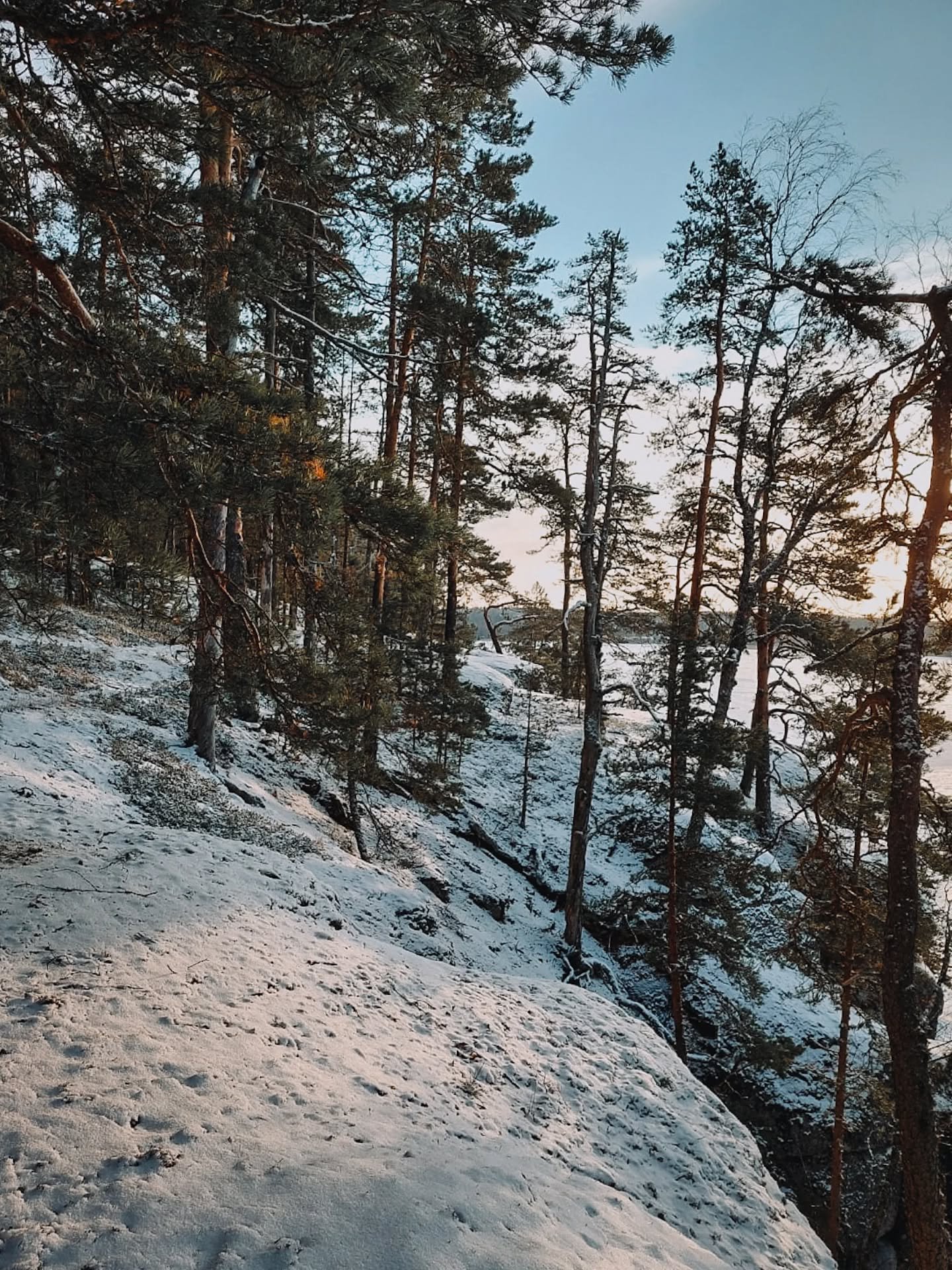 Lumi peitt&auml;&auml; maan ja mets&auml; kutsuu kulkijaa. 

T&auml;llaisina hetkin&auml; muistaa, miksi kotimainen hirsi ja klassinen kotalaavu sopivat niin saumattomasti osaksi suomalaista sielunmaisemaa. Ajattomuus ja kest&auml;vyys kulkevat k&aum