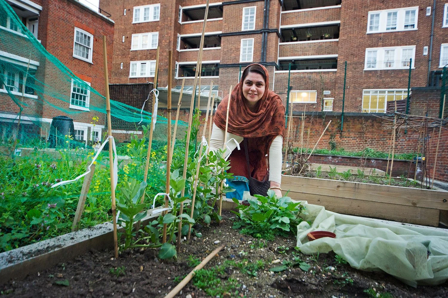 Time Bank Community, Somers Town, London