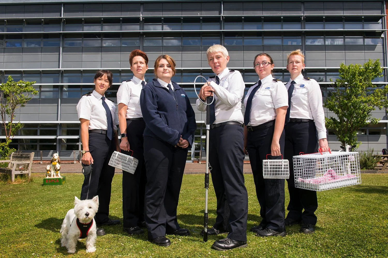 RSPCA training Southwater Horsham