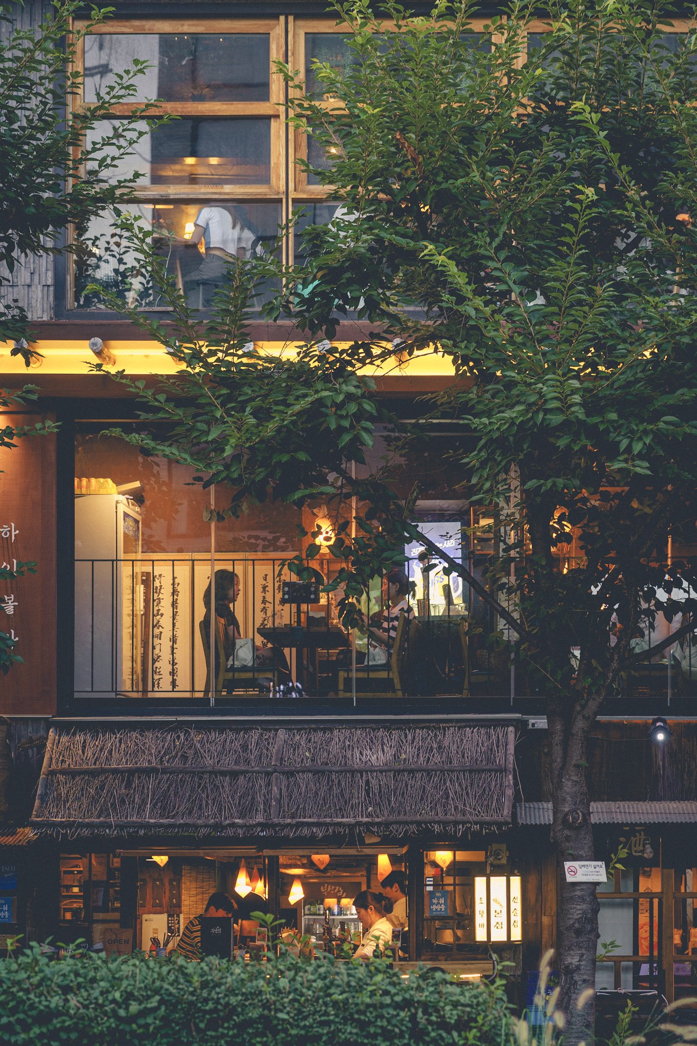 Vue extérieure d'une maison ou d'un café avec de grandes fenêtres éclairées, des arbres et des plantes devant. Des personnes sont visibles dans l'étage supérieur et inférieur, engagées dans des activités à l'intérieur.