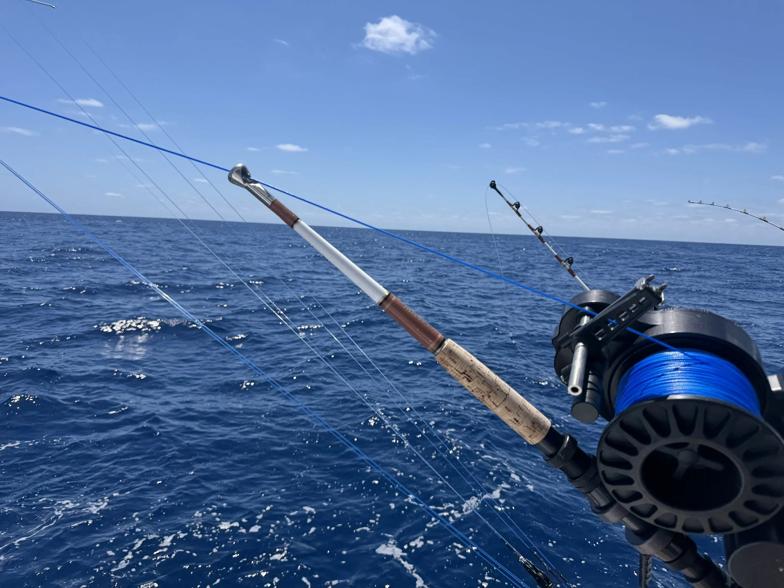 The Captain Doesn’t Rig Bait