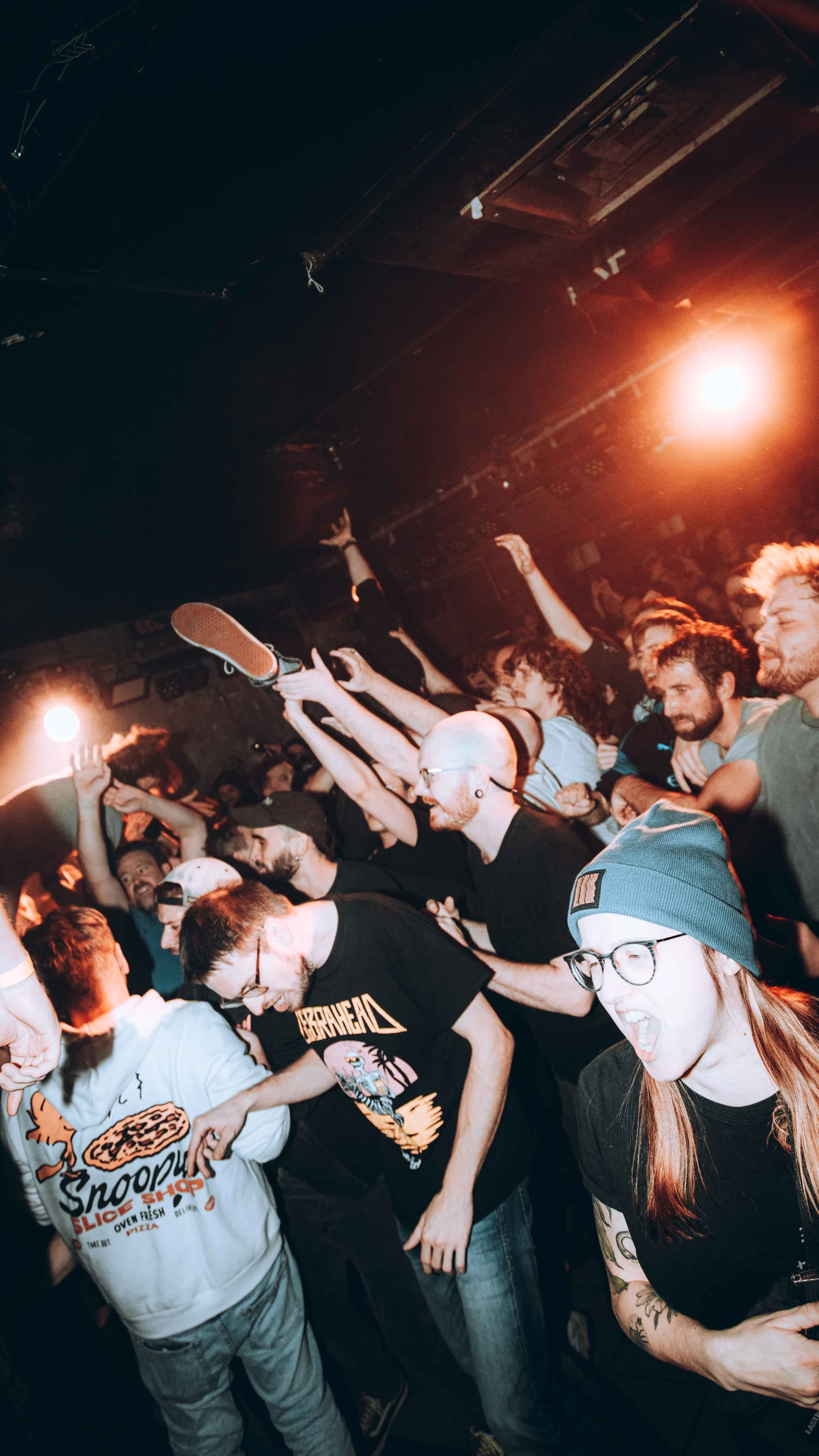 Crowd at a concert or music event, with people dancing, singing, and enjoying themselves under stage lighting.