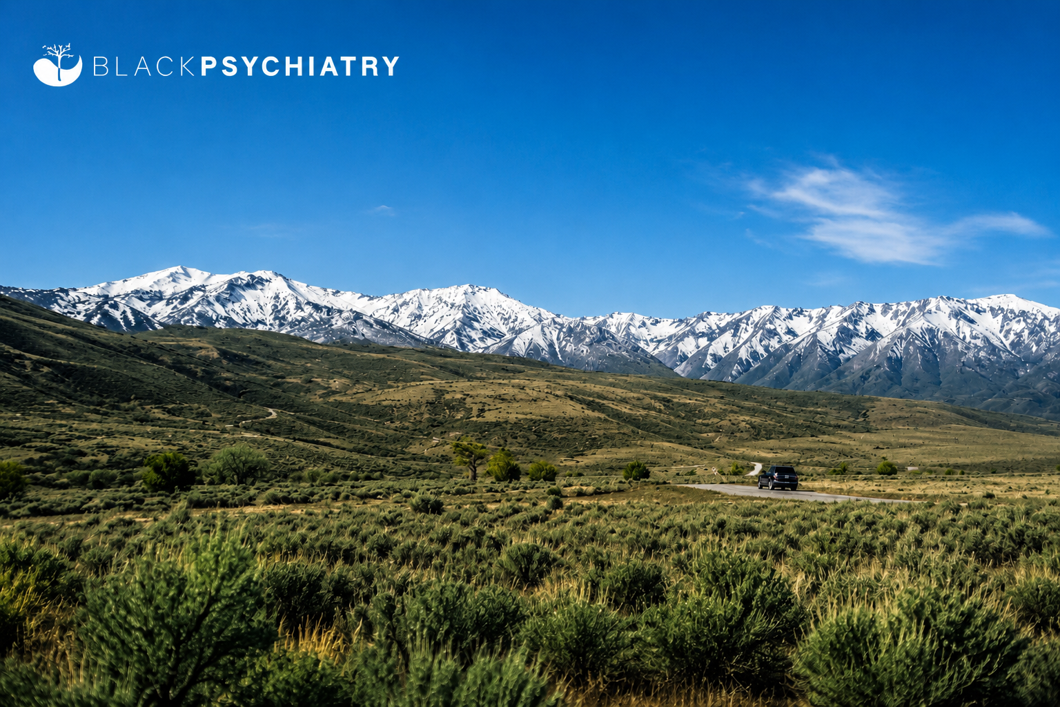 How to Find a Telehealth Psychiatric Provider in Utah: 9 Questions to Ask Before Booking
