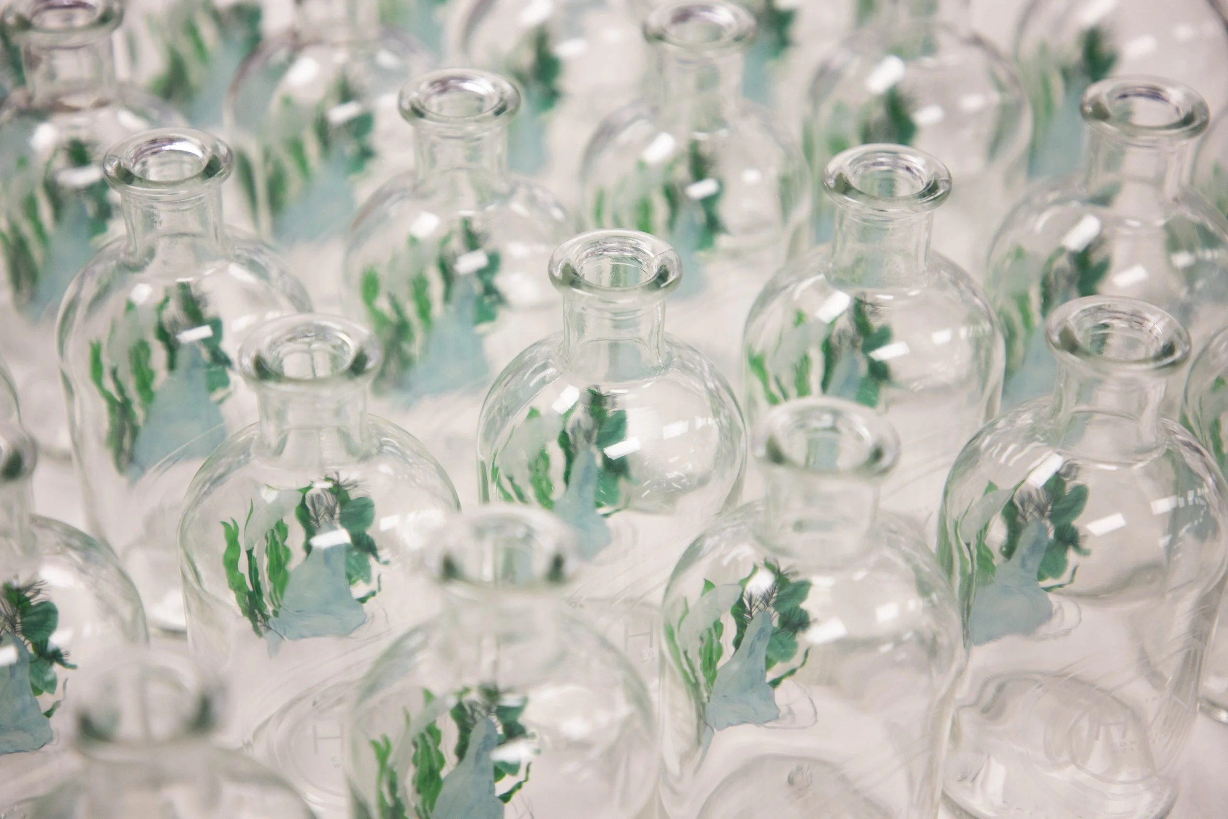 Printed Glass Diffuser Bottle
