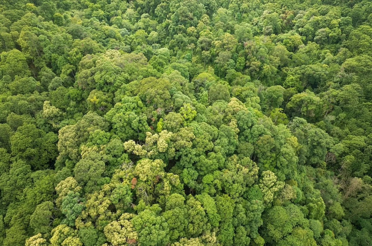 Did you know that #IntelligentWaterValves don’t just enable smarter water management? 