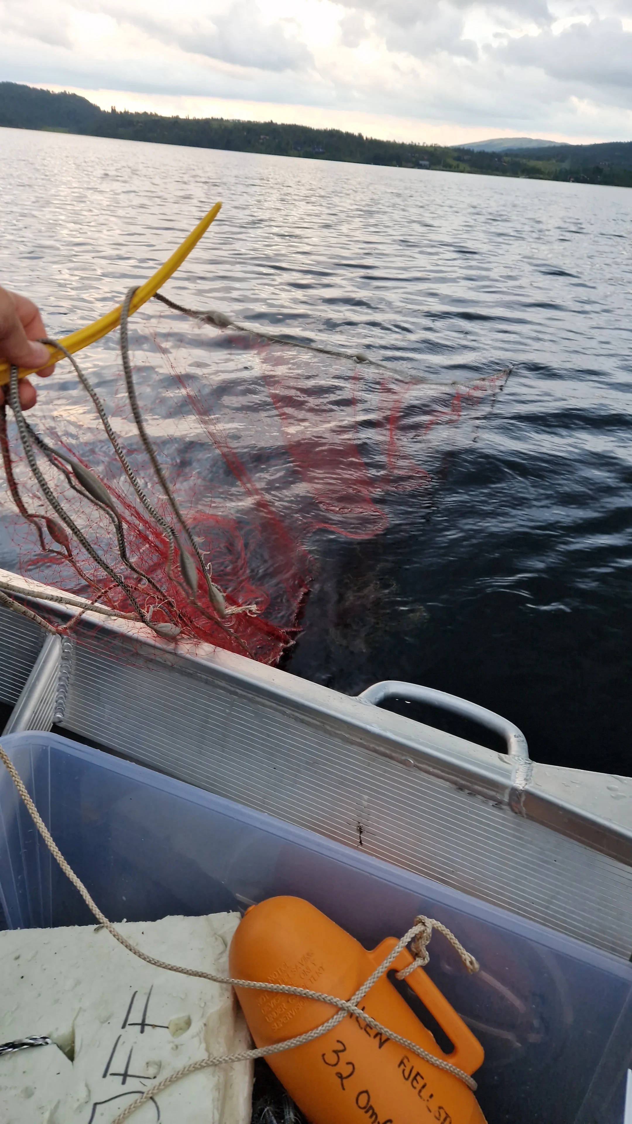 Status fiske i Hessjøen