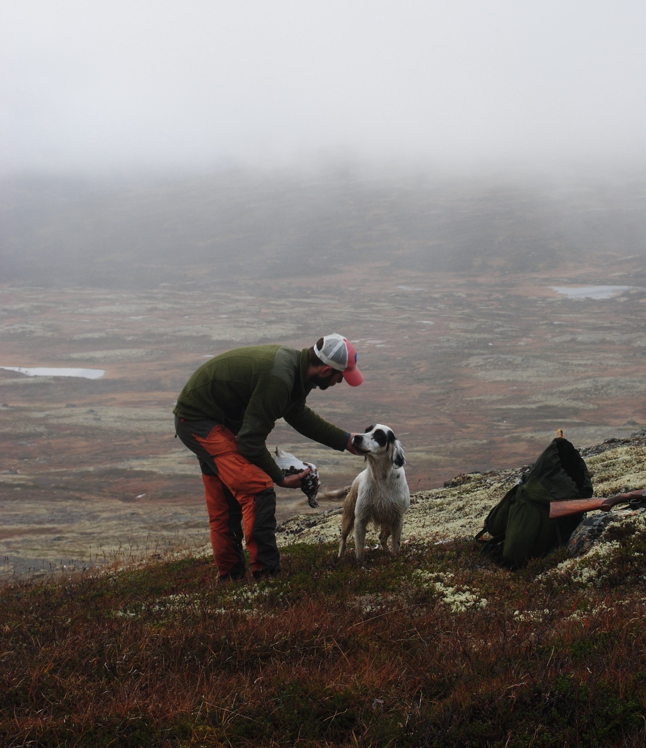 Søknad, tildeling og salg av småviltjakt 2026