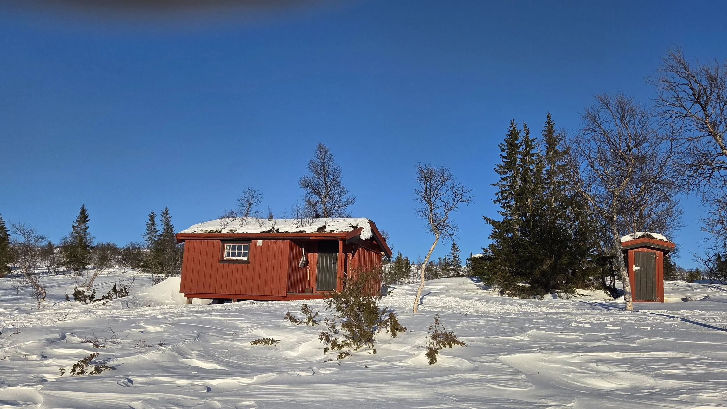 Vardepikbua - Haltdalen fjellstyre