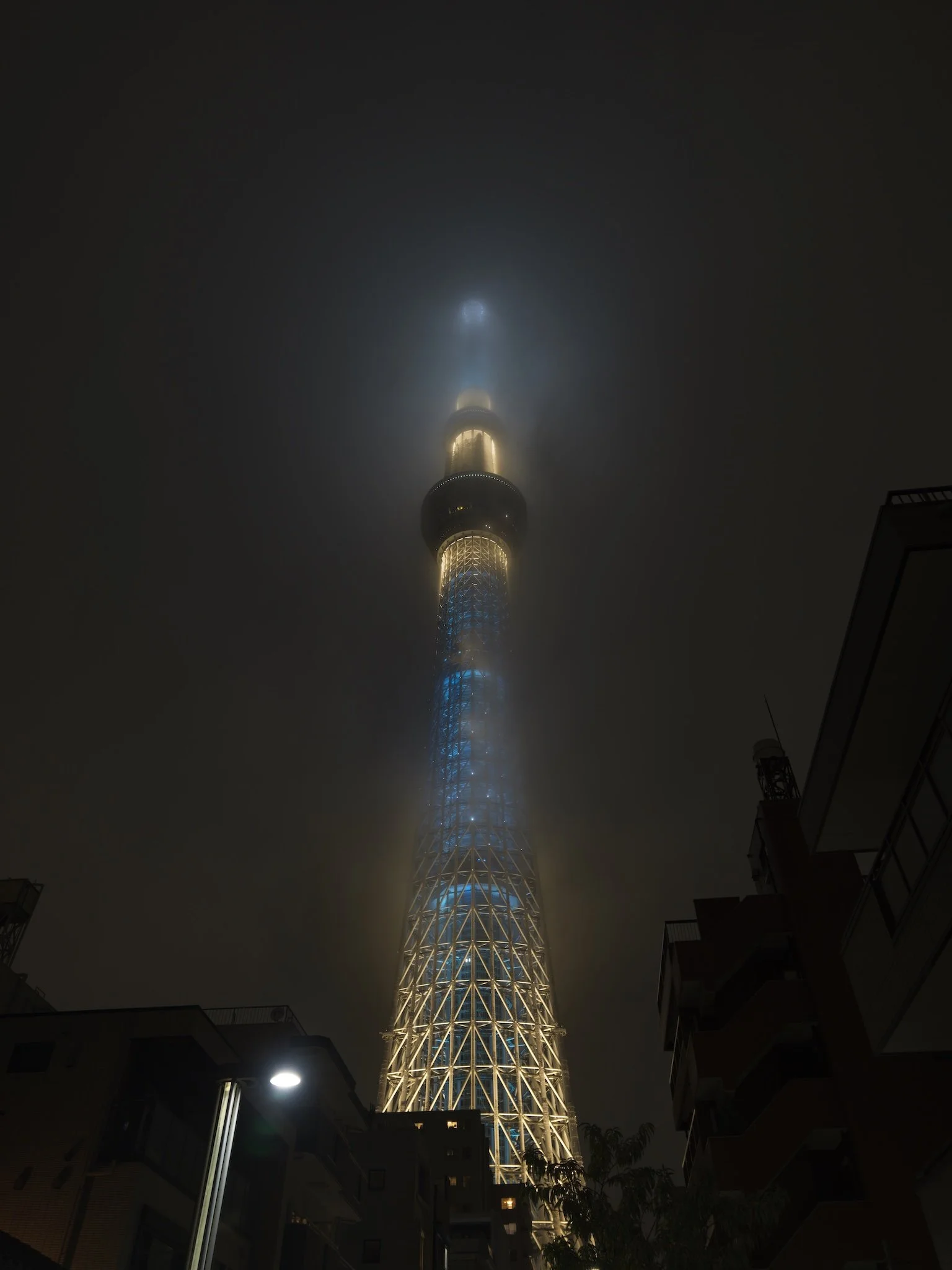 2025.10.23⎪Japon  2025_0080.jpg