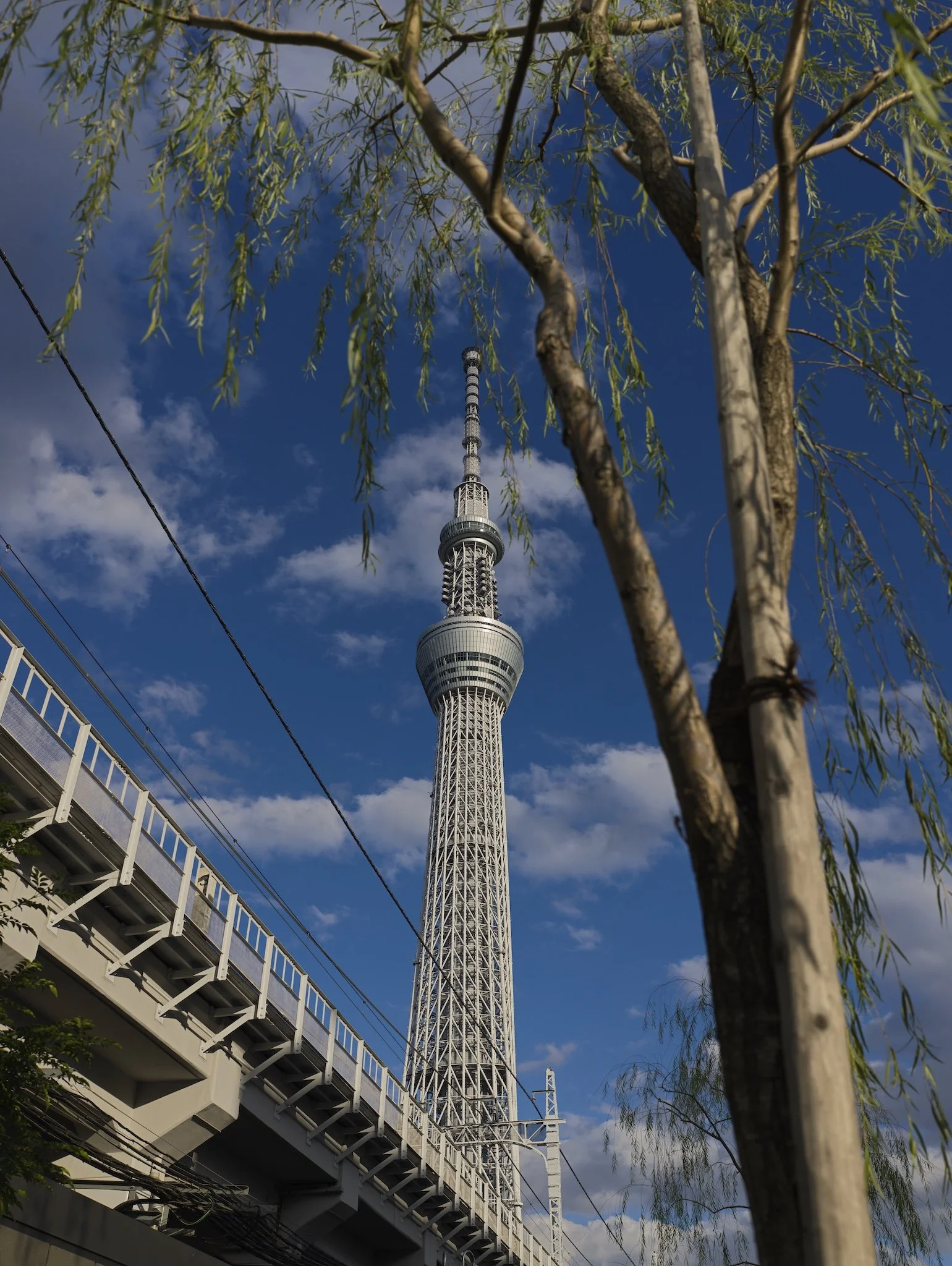 2025.10.23⎪Japon  2025_0242.jpg