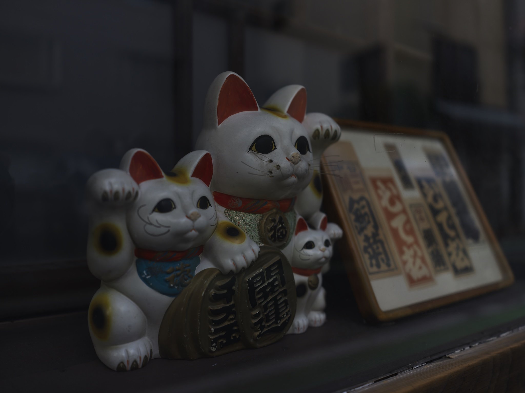 2025.10.23⎪Japon  2025_0129.jpg