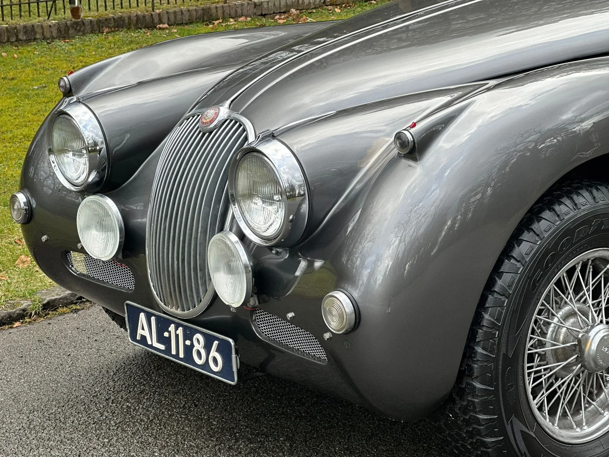 WhatsApp Image 2026-03-14 at 19.43.42 (2).jpeg