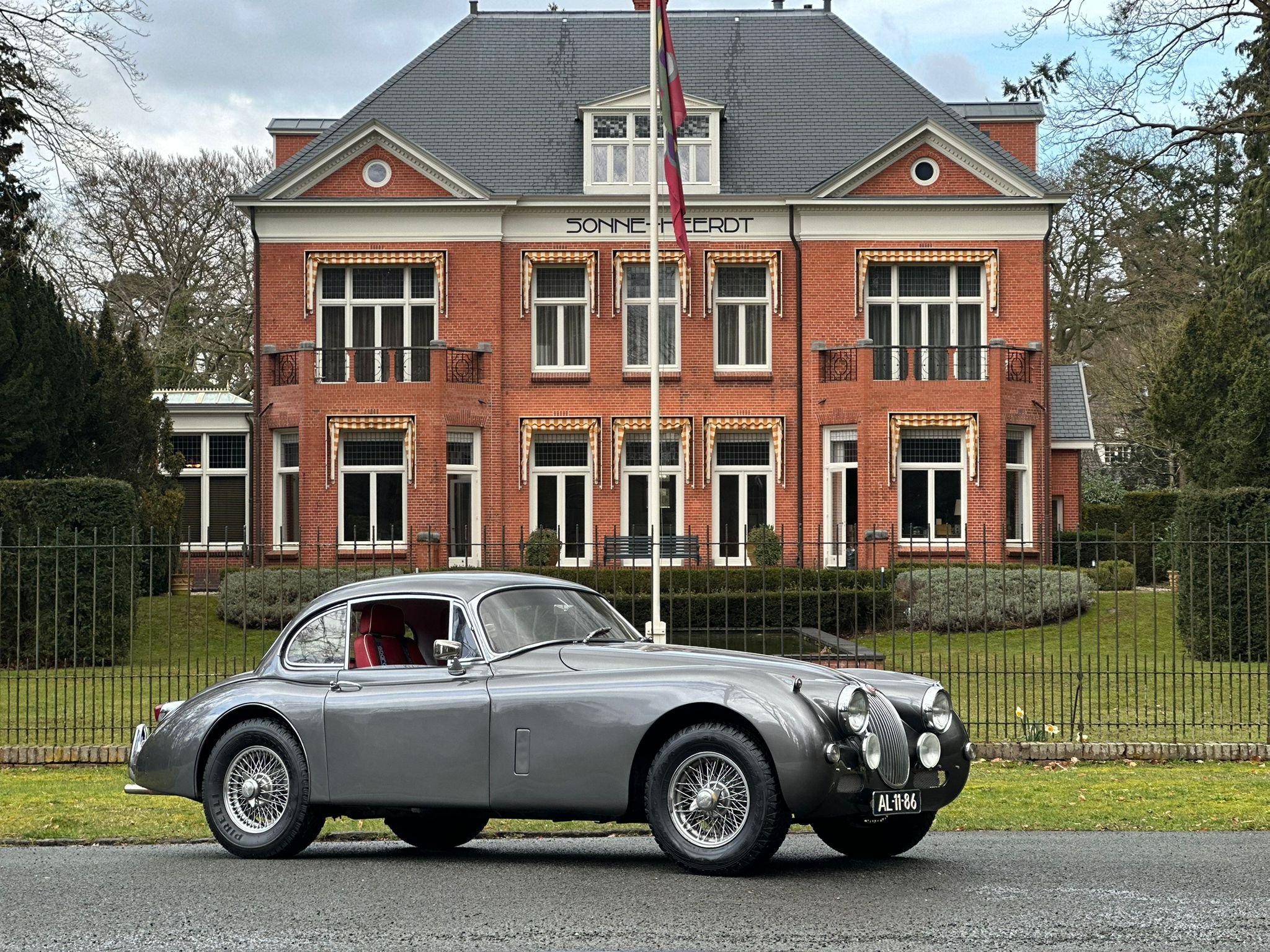 WhatsApp Image 2026-03-14 at 19.43.41.jpeg