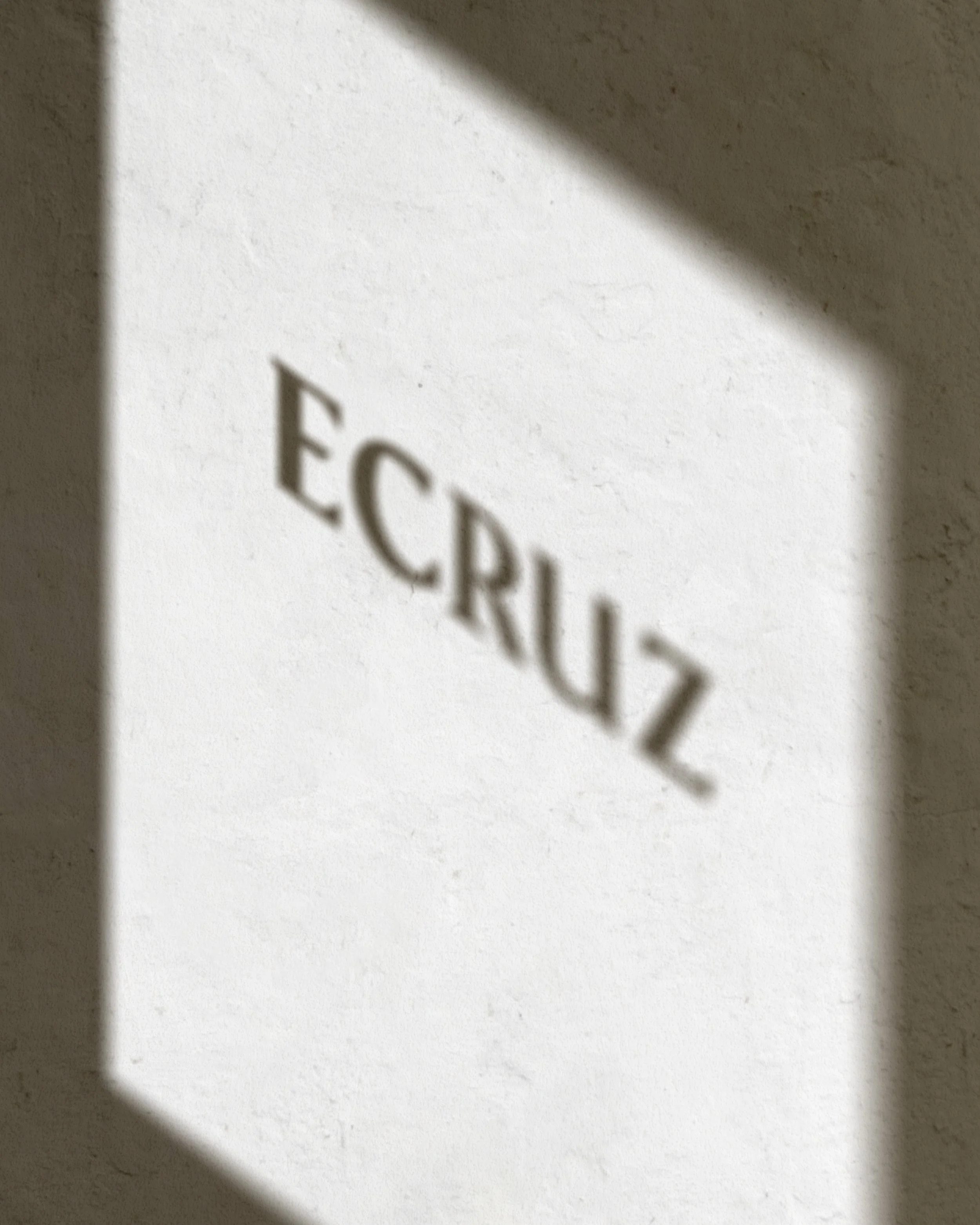 ecruz identidade visual