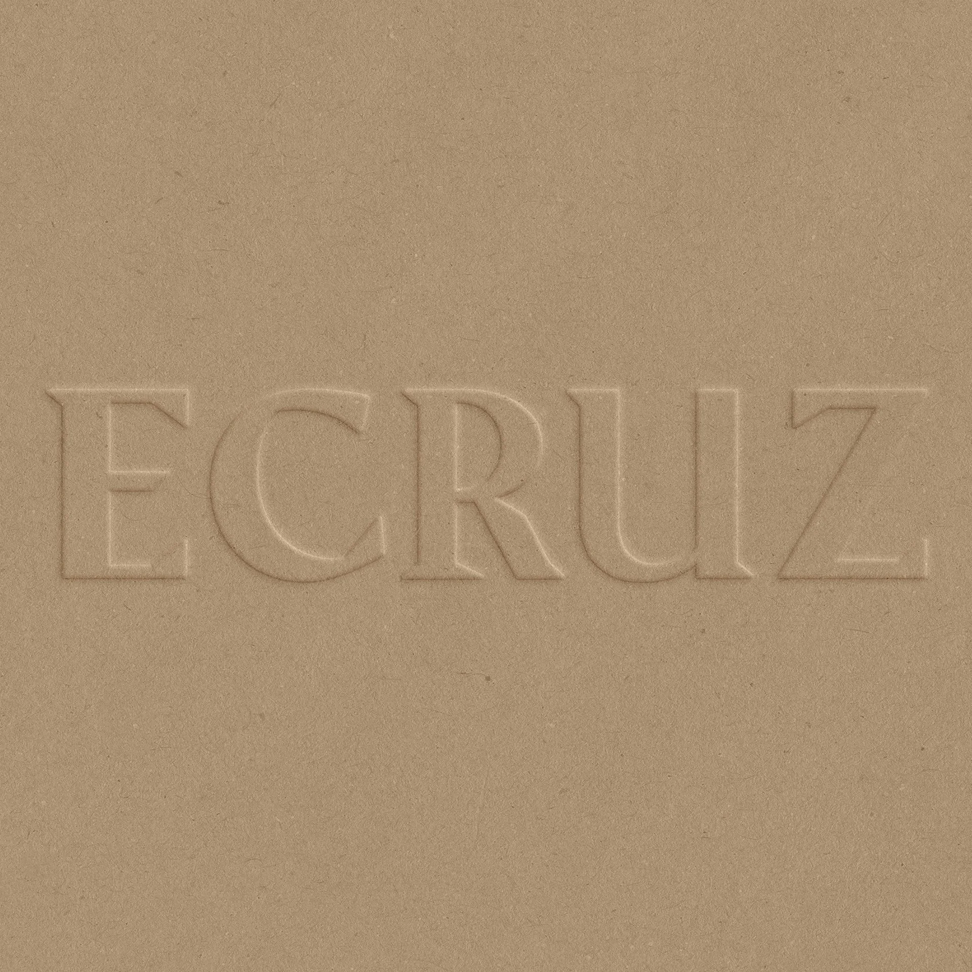 ecruz identidade visual
