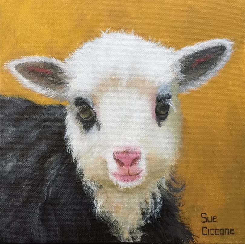 Panda Lamb