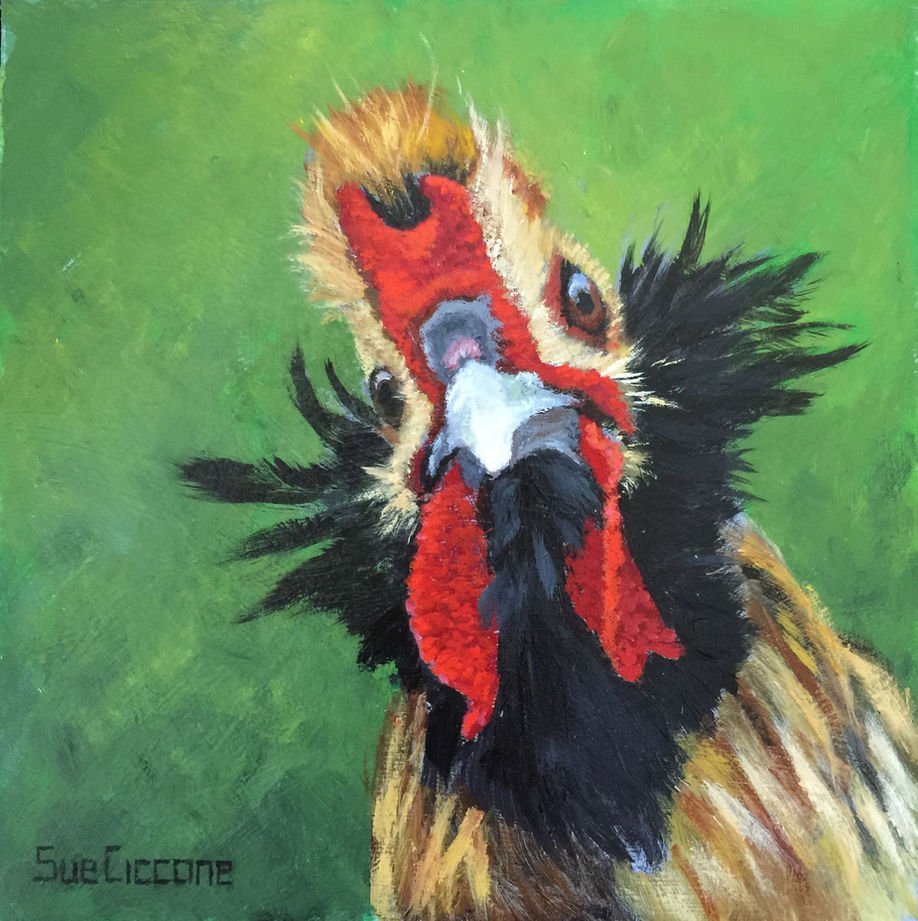 Coo Coo