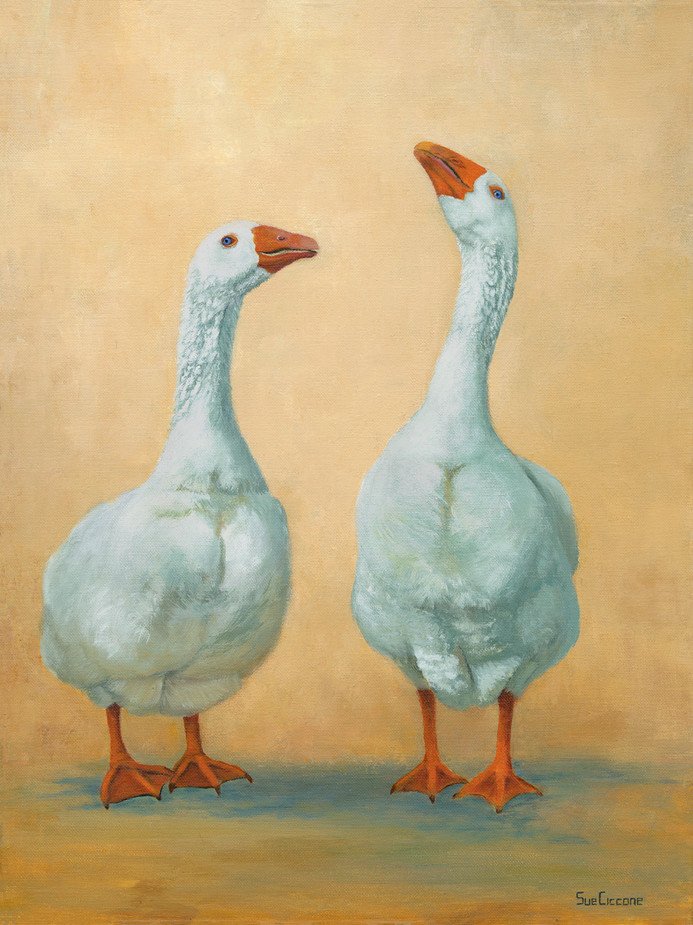The Goose and the Gander