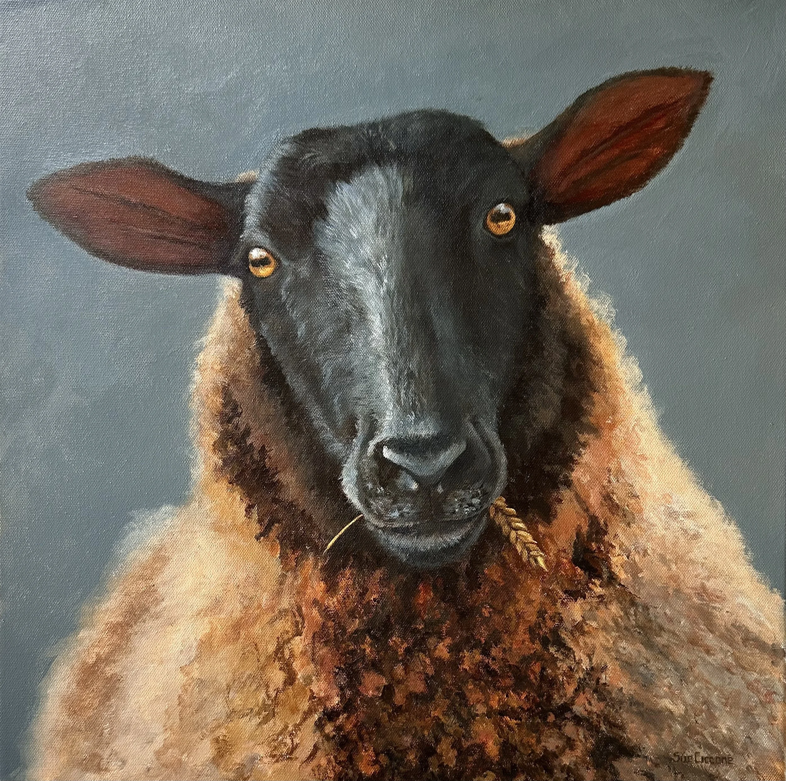 SHEEP -  BABA 18x18 art.jpeg