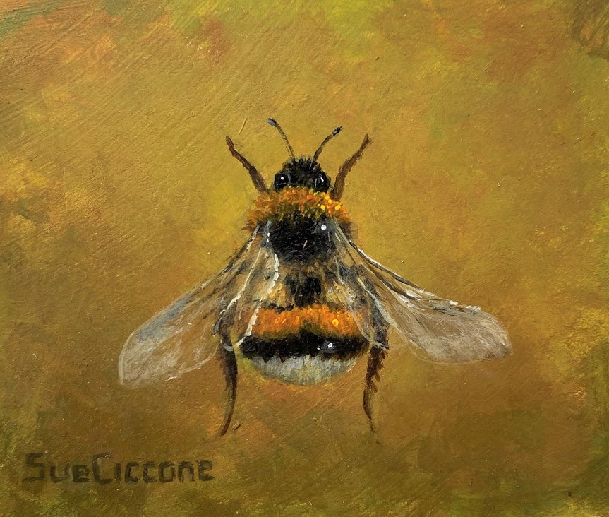 Ballerina Bee