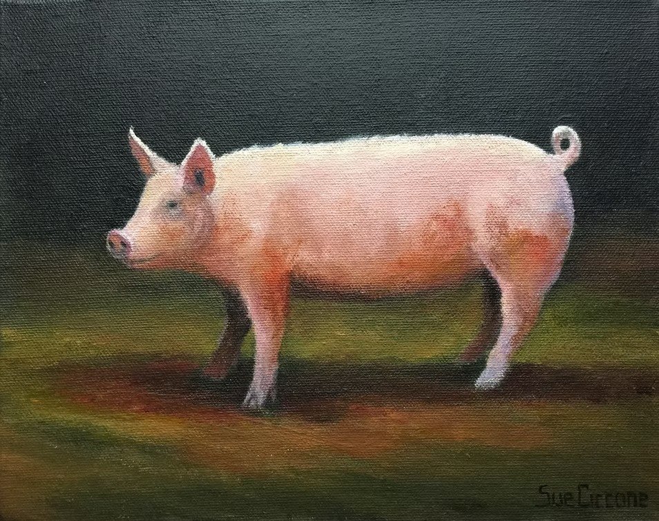 Some Pig
