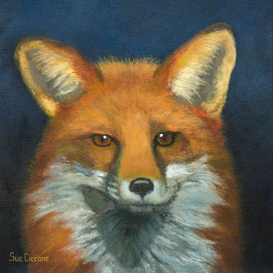 My Fox Reds