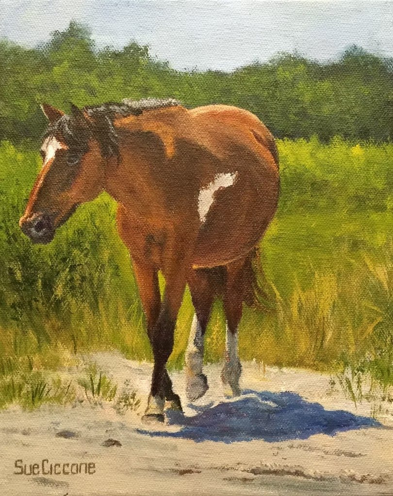 Wild Pony